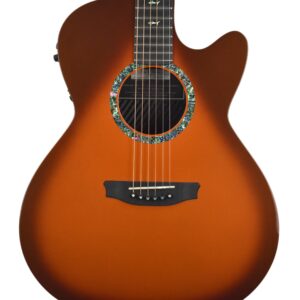 Used Rainsong WS1000N2T in Copperburst w/OHSC 17507