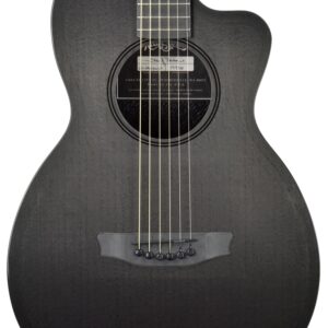 Rainsong CH-PA1100NSG Carbon Fiber Acoustic Guitar 19338