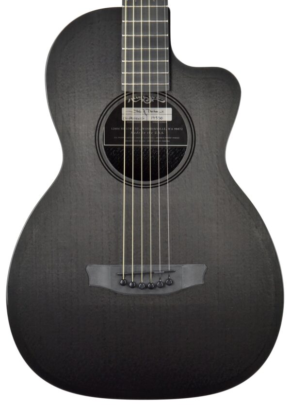 Rainsong CH-PA1100NSG Carbon Fiber Acoustic Guitar 19338