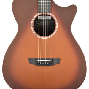 Rainsong Al Petteway Special Edition Carbon Fiber Acoustic Electric 19320
