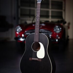 Martin DSS-17 Acoustic Guitar - Black Smoke