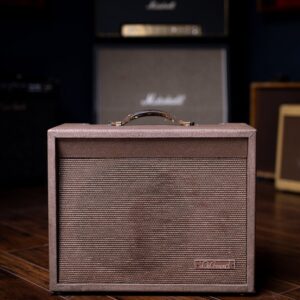 1960 DeArmond R-15T Combo Amp