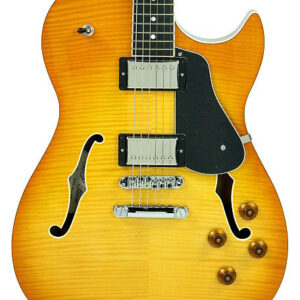 BP Rose Alexis Rose Semi Hollow Body in Honey Burst BP14052025